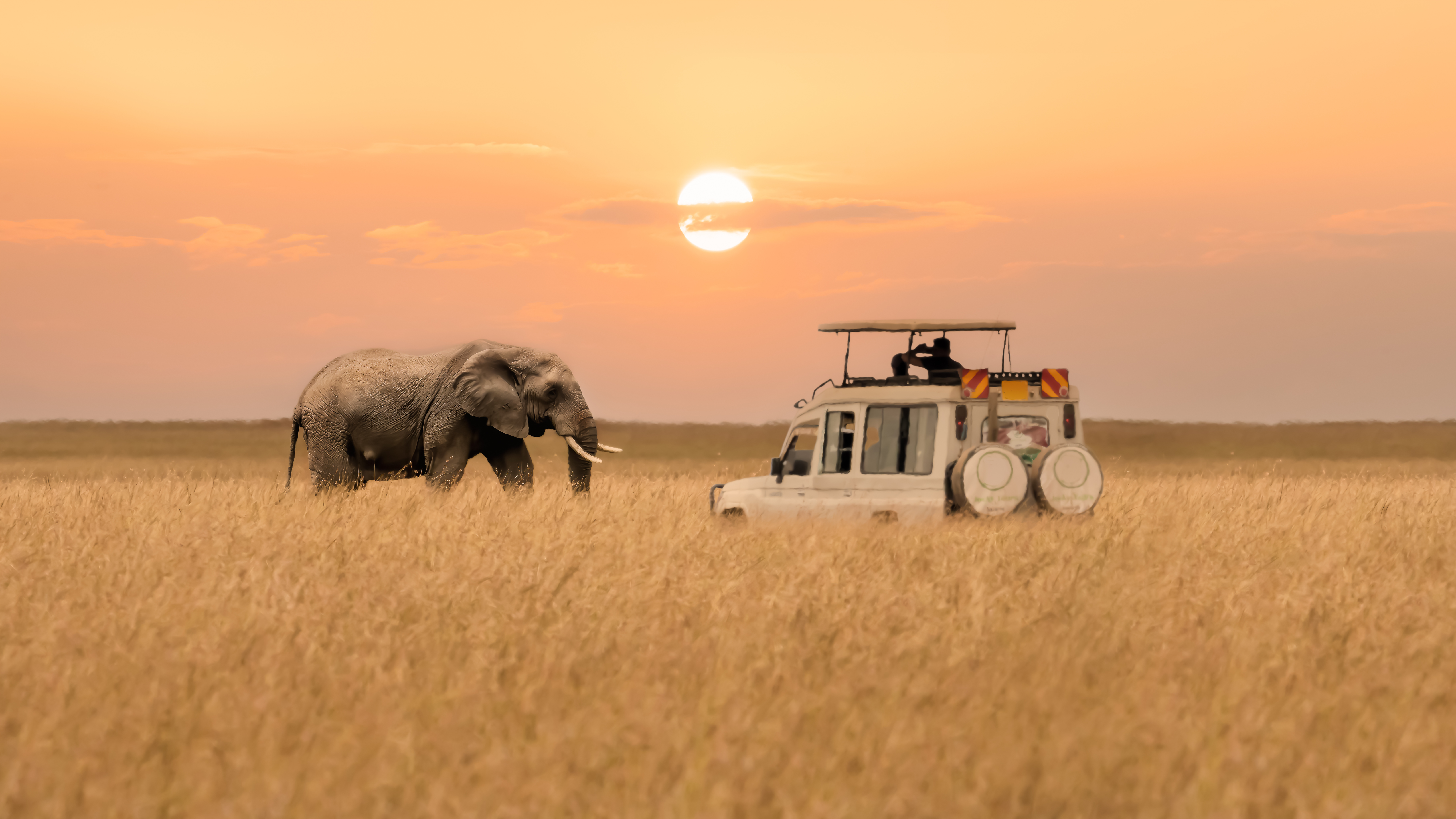 safari, arfican game, elephant, outdoors, el paso, texas, jsdrakeoutdoors.com